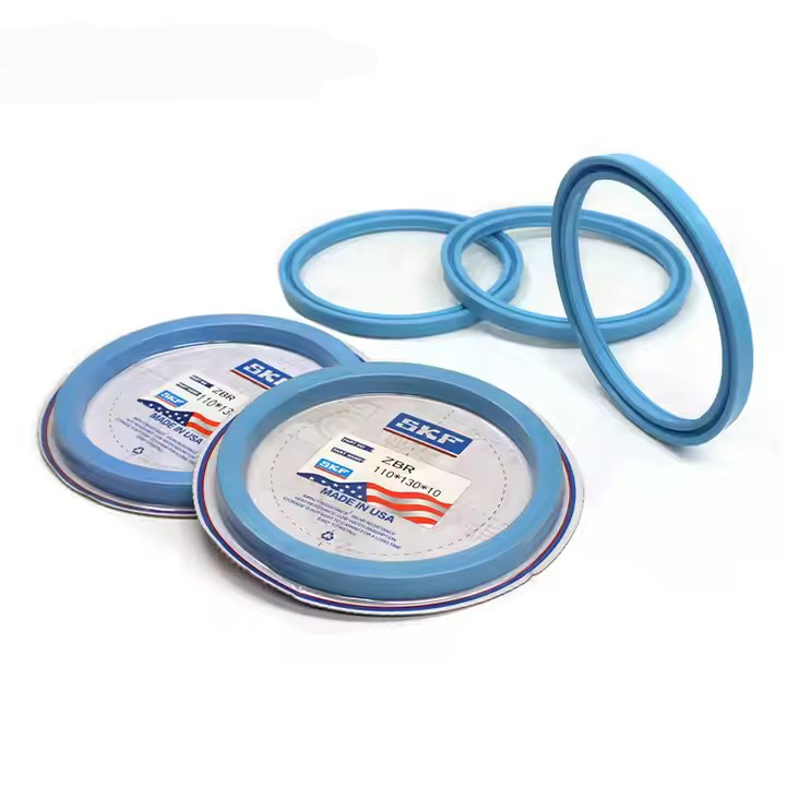 SKF-ZBR(MPI) Seal